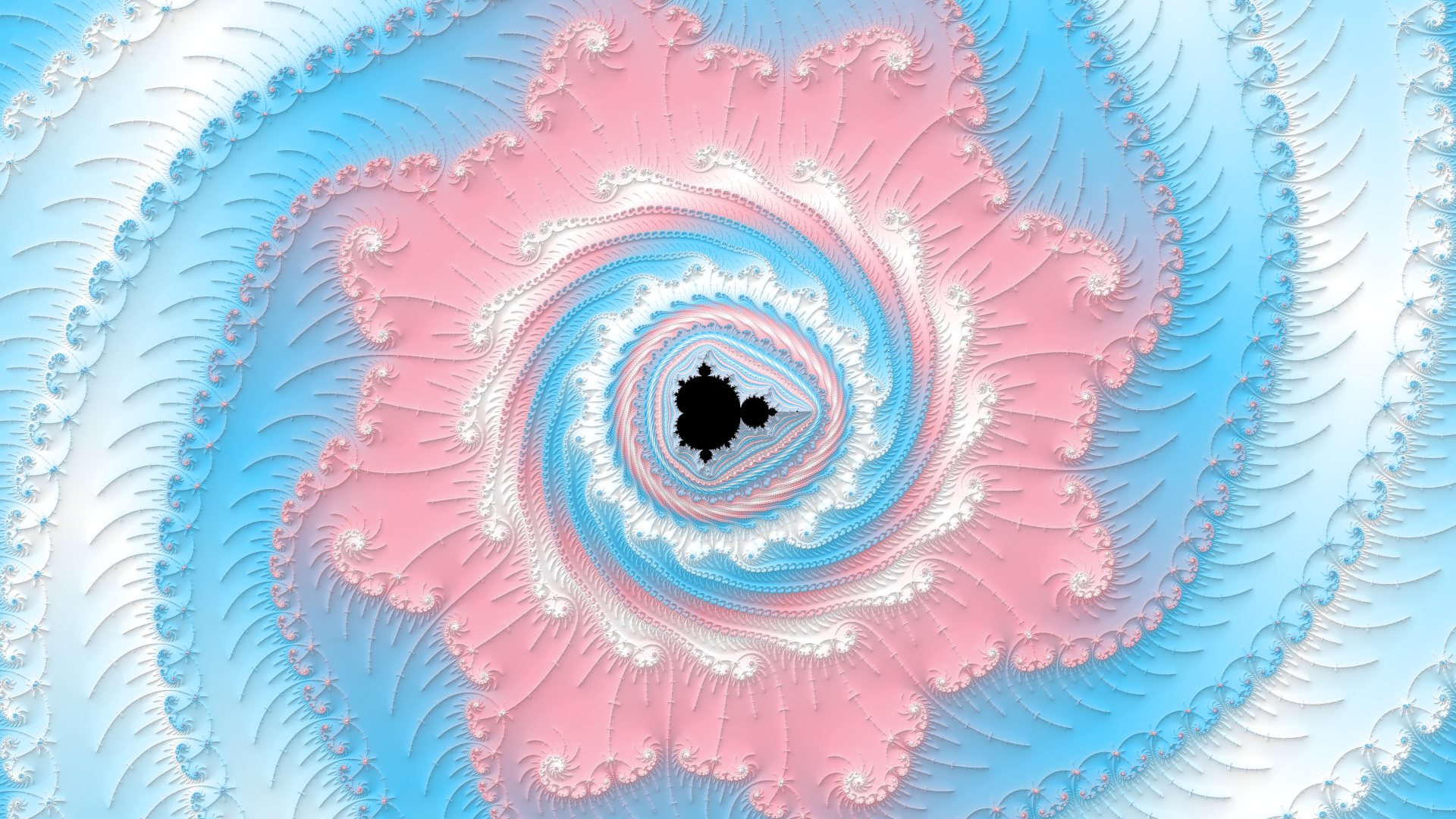 a mandelbrot fractal render with the colors of the trans pride flag